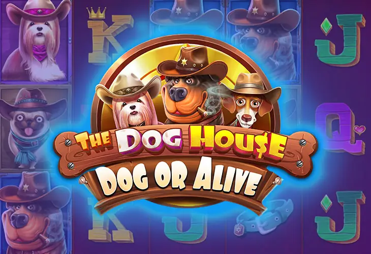The Dog House Dog Or Alive